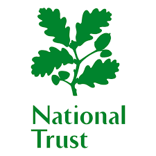 NT